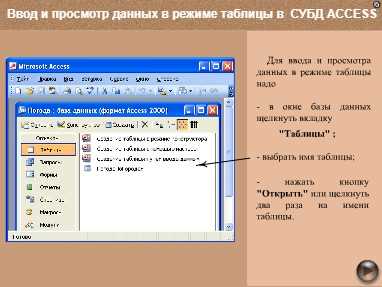 Практическое задание по теме СУБД Microsoft Access. Таблицы